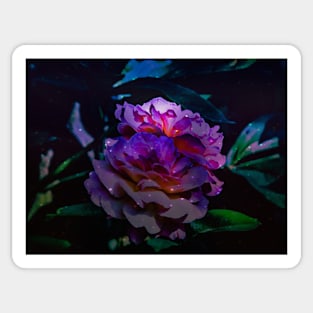 Flowers in the garden Sticker